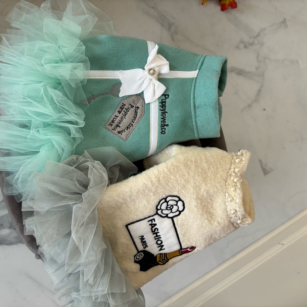 Start your fur baby to be a diva